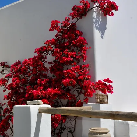Exquisite Estate, Serene Environment Tatil Evi Lefkes (Paros)