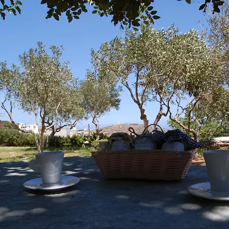 Exquisite Estate, Serene Environment Holiday home *