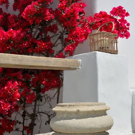 Casa vacanze Exquisite Estate, Serene Environment Lefkes (Paros)