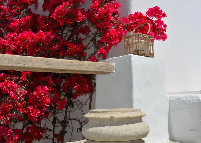 Casa vacanze Exquisite Estate, Serene Environment Lefkes (Paros)