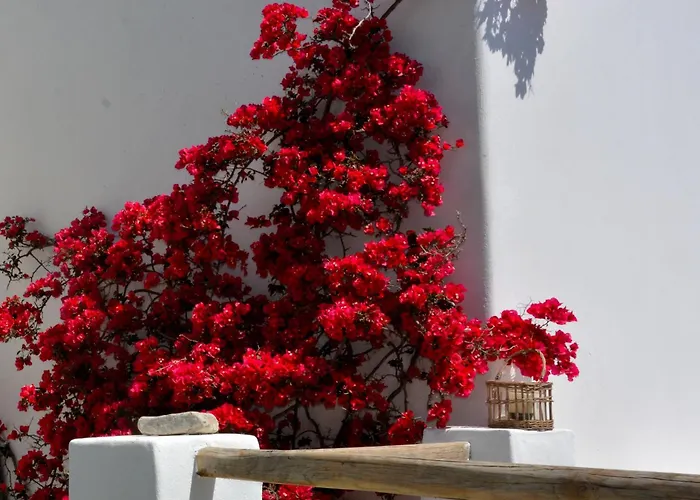 Exquisite Estate, Serene Environment Casa vacanze Lefkes (Paros)